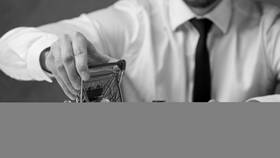 Акции, позволяющие получать доход: виды и особенности в Том Фарр