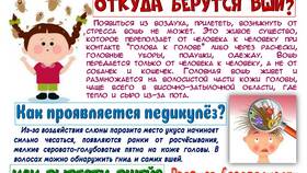 Чем вывести гнид в Том Фарр