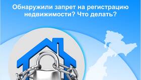 Что такое регистрационный запрет в Том Фарр