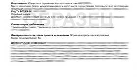 Декларация: что вписать в Том Фарр
