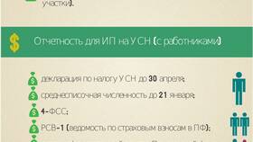 ИП на УСН: какие отчеты сдавать в Том Фарр