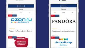 Как оплатить баллами Ozon через приложение в Том Фарр