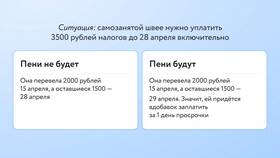 Как оплатить налоговые платежи в Том Фарр