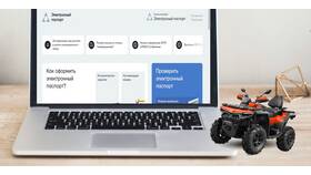 Как получить выписку из электронного паспорта в Том Фарр