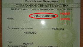 Как проверить фамилию по СНИЛС онлайн в Том Фарр