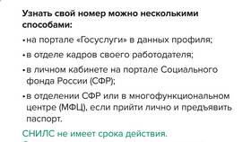 Как проверить СНИЛС в 2024 году в Том Фарр