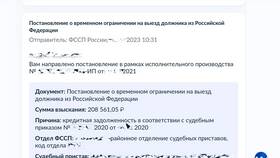 Как проверить запрет на выезд через ФССП в Том Фарр