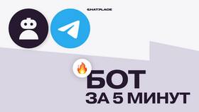 Как создать бота поддержки в Telegram в Том Фарр