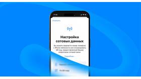Как узнать свой номер Билайн Казахстан в Том Фарр
