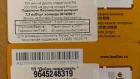 Как восстановить SIM-карту Билайн через интернет в Том Фарр