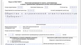 Как заполнить нулевую декларацию НДФЛ для ИП в Том Фарр