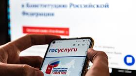 Какие документы можно показать вместо паспорта в Том Фарр