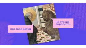 Понижают зарплату: что делать в такой ситуации в Том Фарр