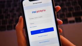Трудовой стаж страховой: что это и зачем нужен в Том Фарр