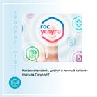 Как восстановить доступ к Госуслугам